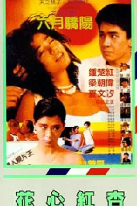 成人高清在线视频